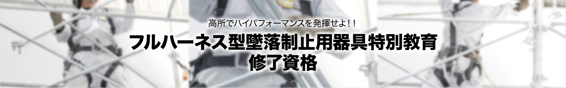 フルハーネス型墜落制止用器具特別教育 修了資格